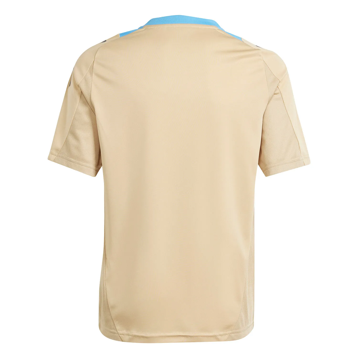 Camiseta adidas Argentina entrenamiento niño 