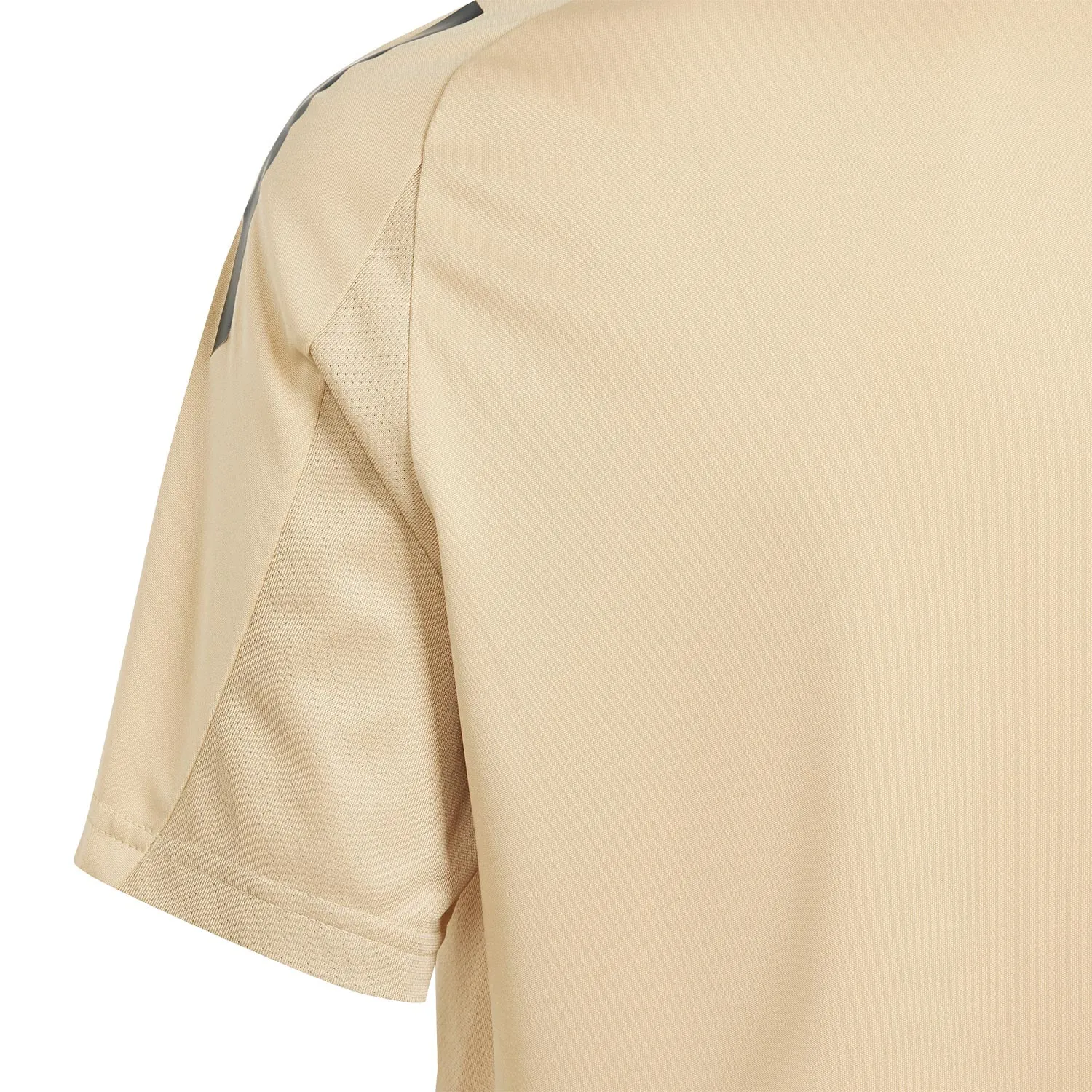 Camiseta adidas Argentina entrenamiento niño 