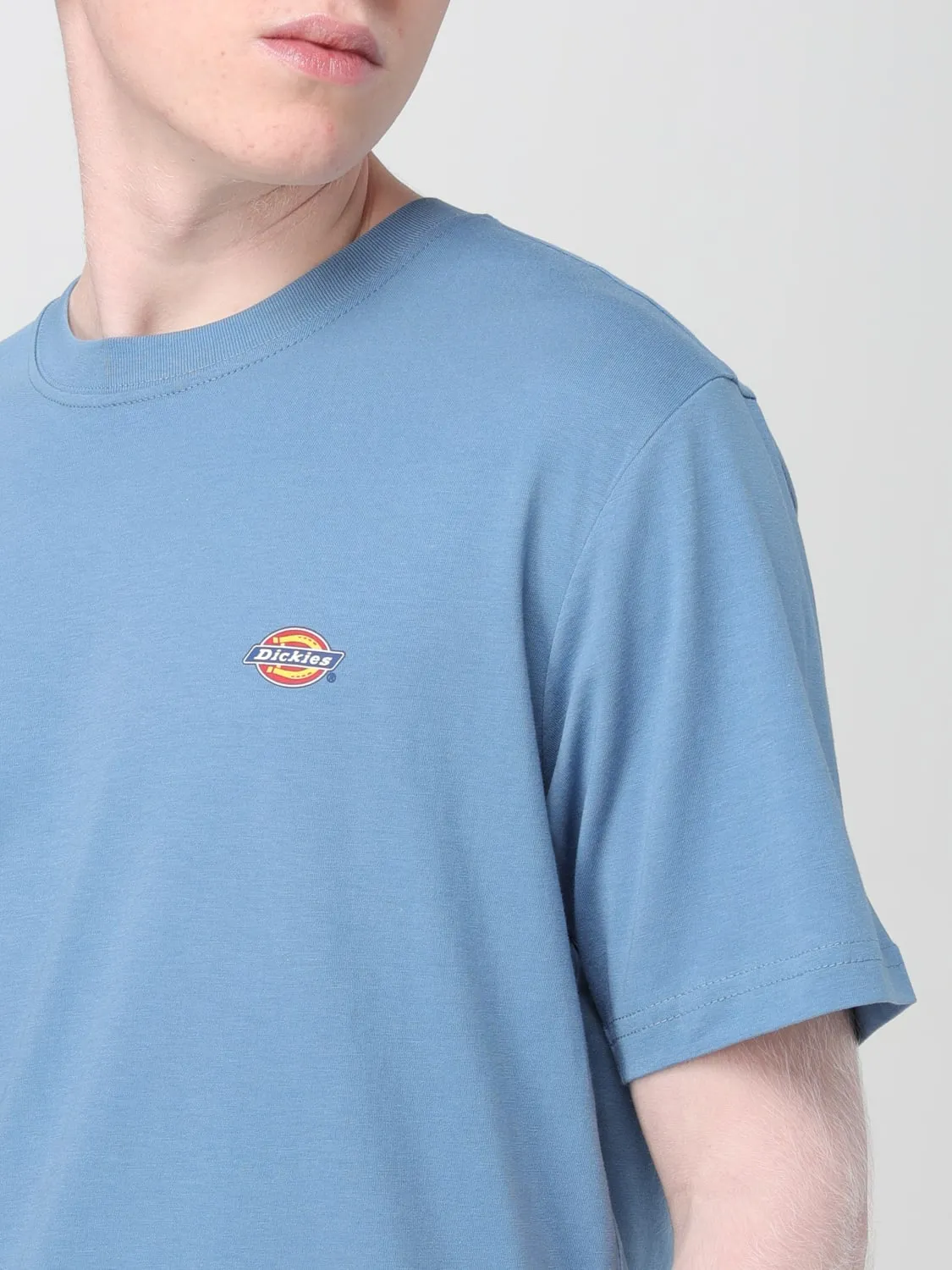 Camiseta hombre Dickies