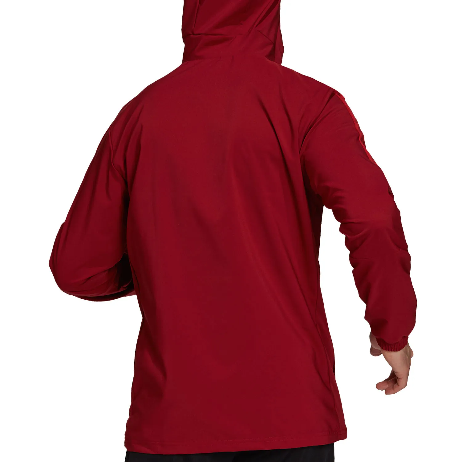 Chaqueta adidas Bayern Presentación