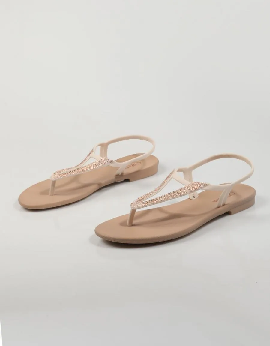  CHINELOS GRENDHA 18376  CACAU ELEGANTE S EN GELO 79464