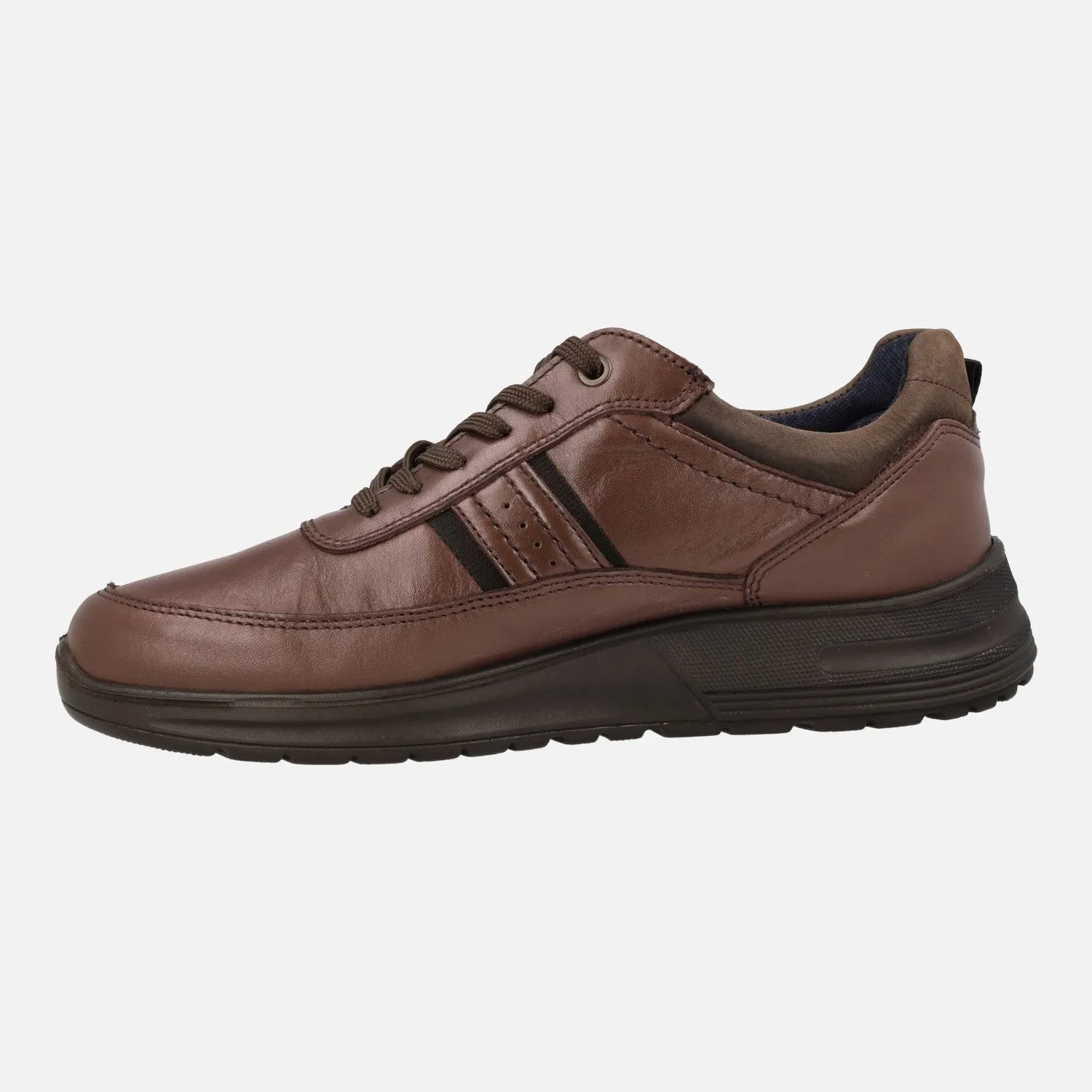 Deportivas para hombre confort en piel marrón