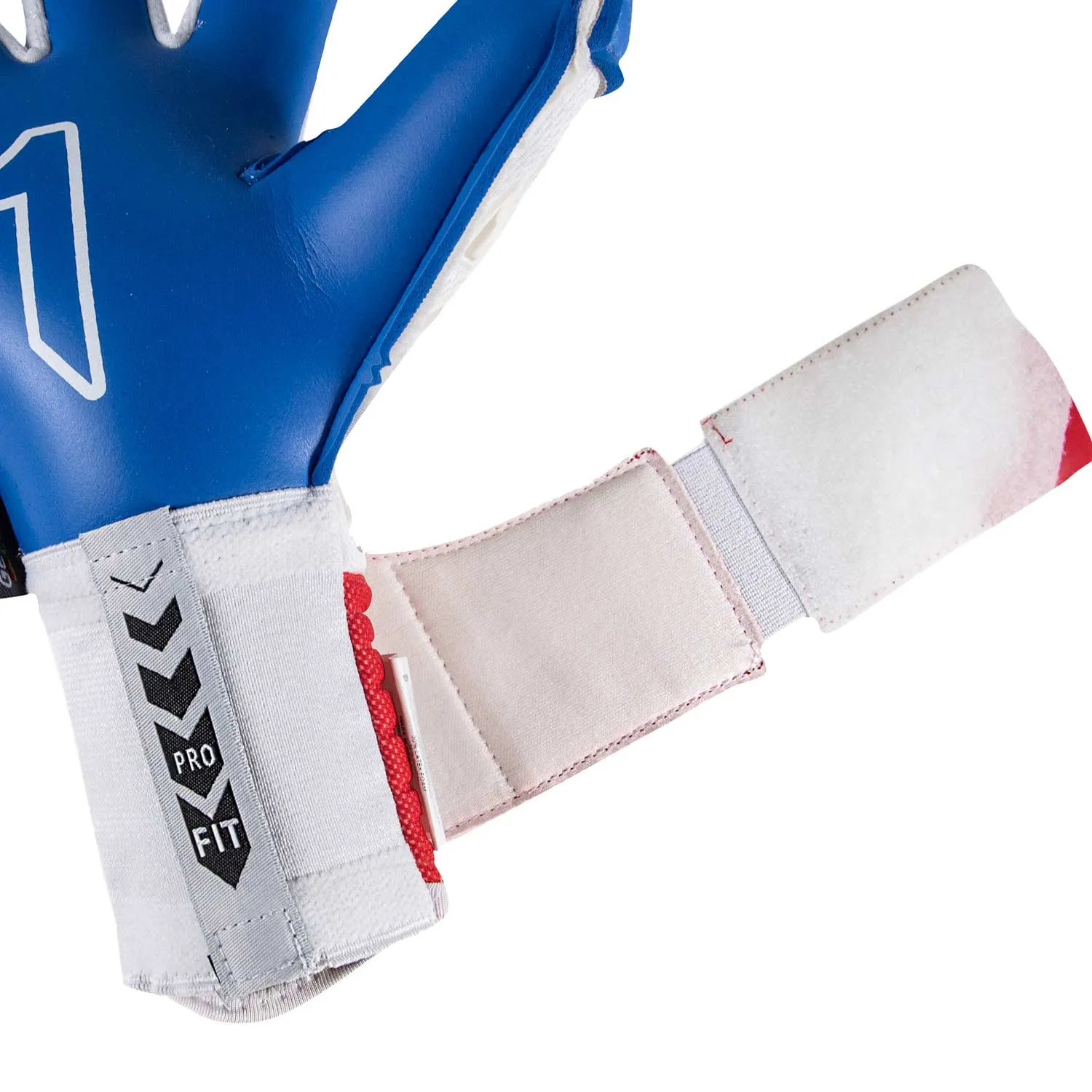 Rinat Fiera GK Pro