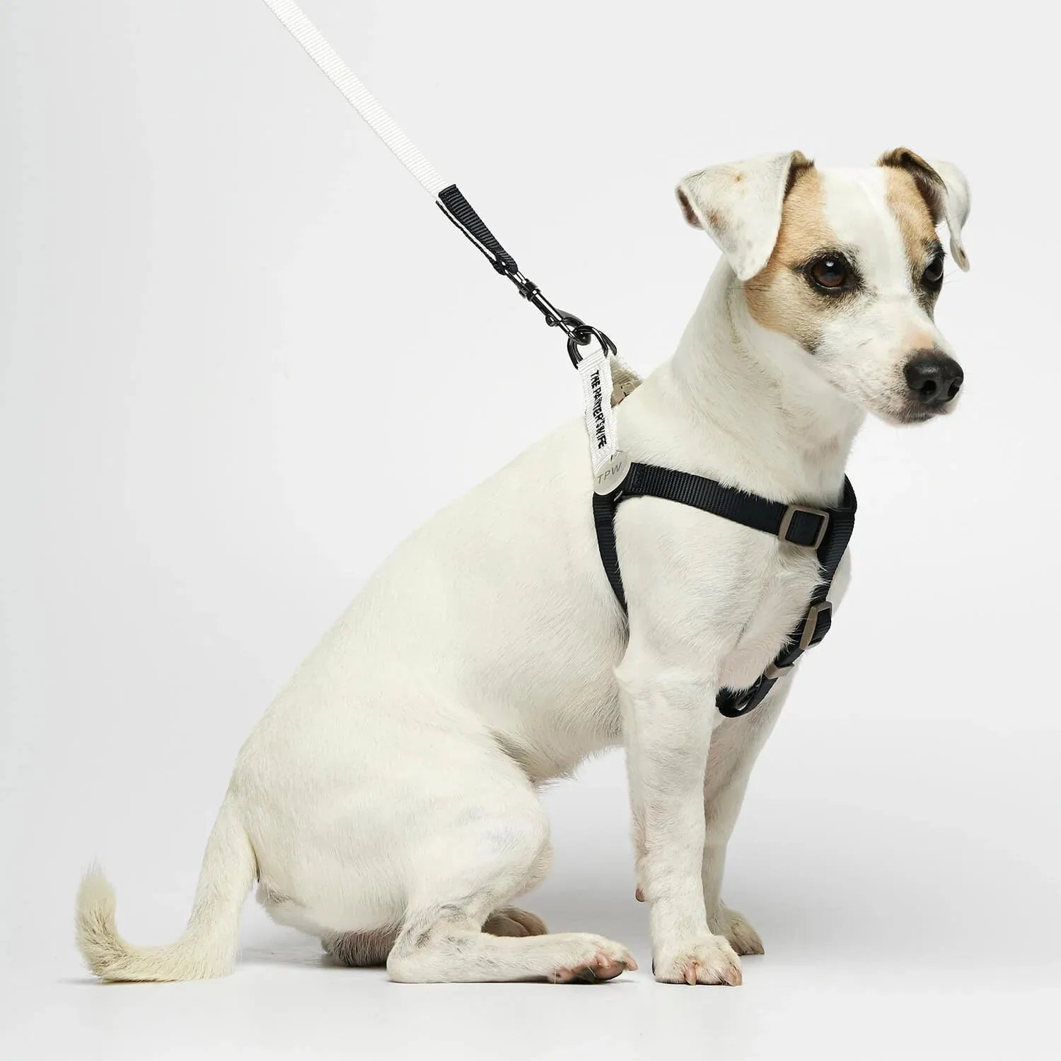 Sonia White Dog Leash