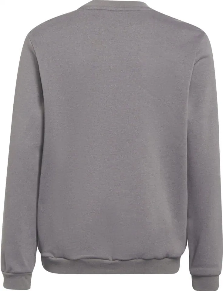 Sudadera adidas ENT22 SW TOPY