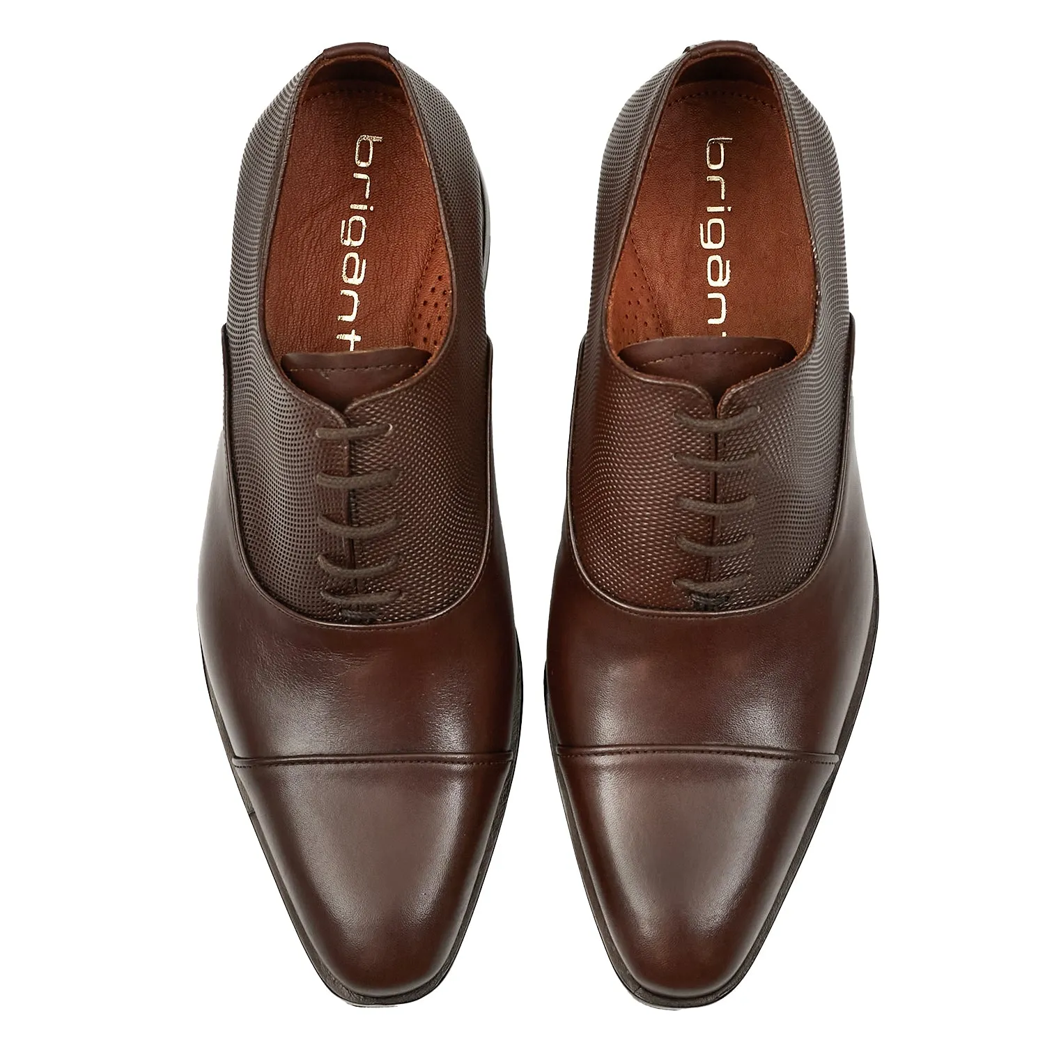ZAPATO PADUA MARRON